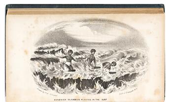 Olmsted, Francis Allyn (1819-1844) Incidents of a Whaling Voyage, with Two Copies of the Surfing Plate.